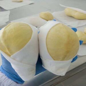Alternative view of Durian