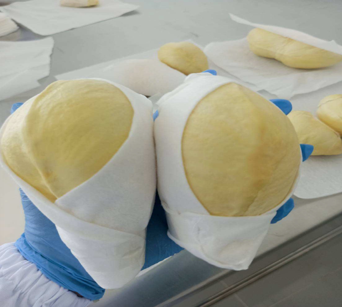 Durian - Image 2