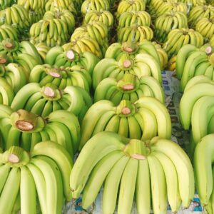 Alternative view of Banana