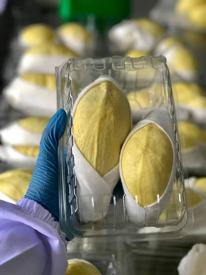Durian - Image 4