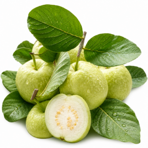 Guava