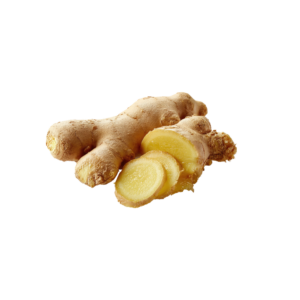 GINGER
