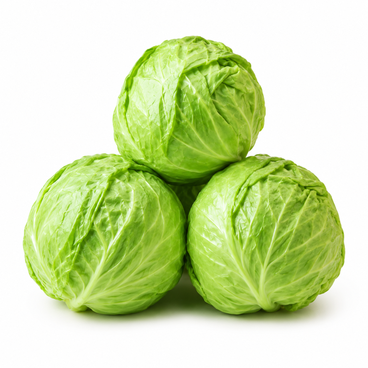 Cabbage
