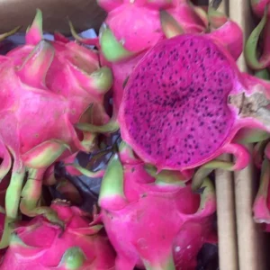 Alternative view of Dragon fruit