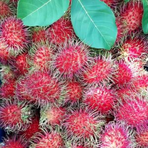 Alternative view of Rambutan