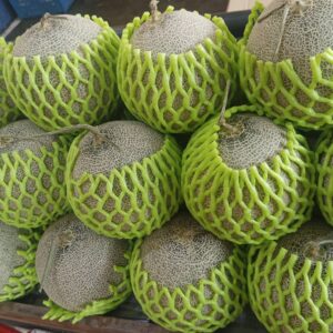 Alternative view of Melon