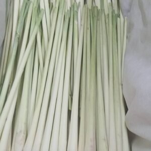 Alternative view of Lemongrass