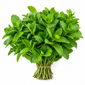 HOLY BASIL LEAVES