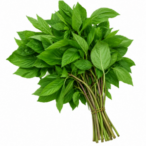 BASIL