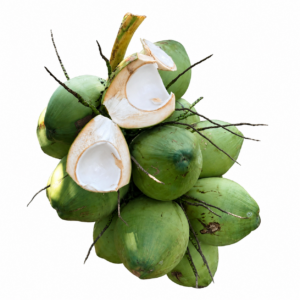Coconut